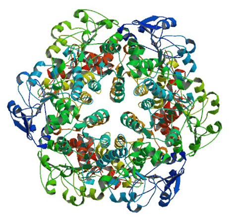 Enzyme Activity Measurement for Alanine Dehydrogenase