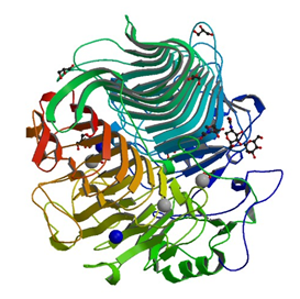 Enzyme Activity Measurement of Glucan 1,3-Beta-Glucosidase