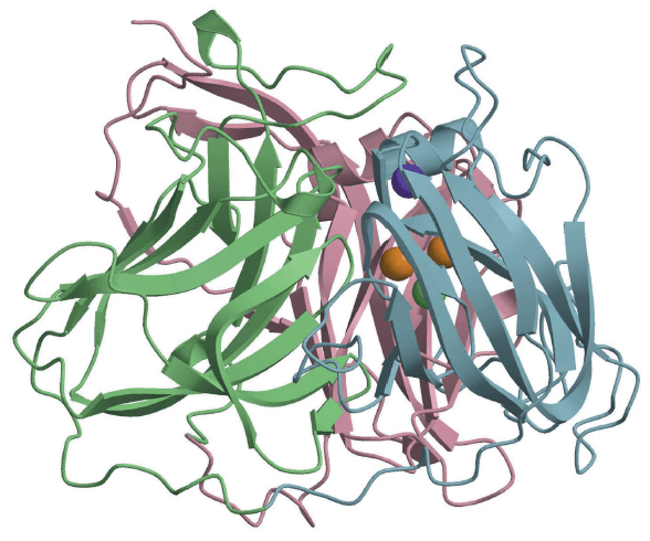 Enzyme Activity Measurement for Bilirubin Oxidase