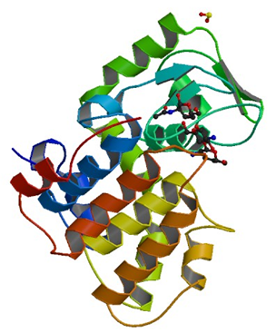 Enzyme Activity Measurement for Chitosanase