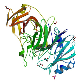 The native crystal structure of endo-1,5-alpha-l-arabinanases from Bacillus subtilis