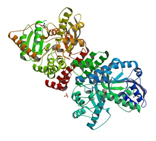 The crystal structure of galacturan 1,4-alpha-galacturonidase from Bacillus subtilis.