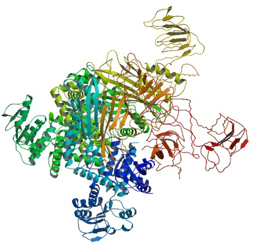 Enzyme Activity Measurement for Glutamate Dehydrogenase