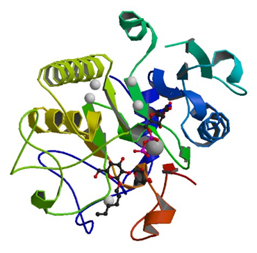 Enzyme Activity Measurement of Glycoprotein-Fucosylgalactoside Alpha-N-acetylgalactosaminyltransferase