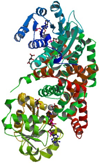 Enzyme Activity Measurement for Ketol-Acid Reductoisomerase (NADP+)