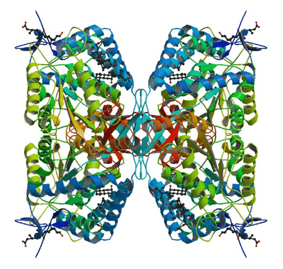 Enzyme Activity Measurement for Lactaldehyde Dehydrogenase