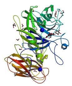 The crystal structure of non-reducing end alpha-L-arabinofuranosidase from Bacillus subtilis in complex with xylotriose