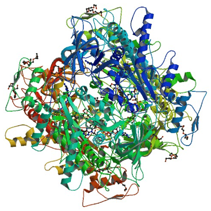 Enzyme Activity Measurement for Pyranose Oxidase Using Spectrophotometric Assays