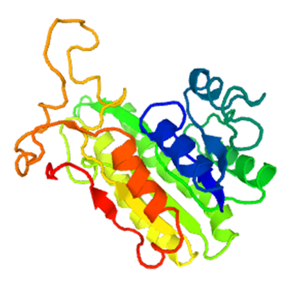 Enzyme Activity Measurement for Sorbitol-6-Phosphate 2-Dehydrogenase