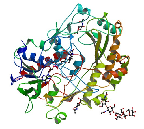 Enzyme Activity Measurement for Glucose Oxidase