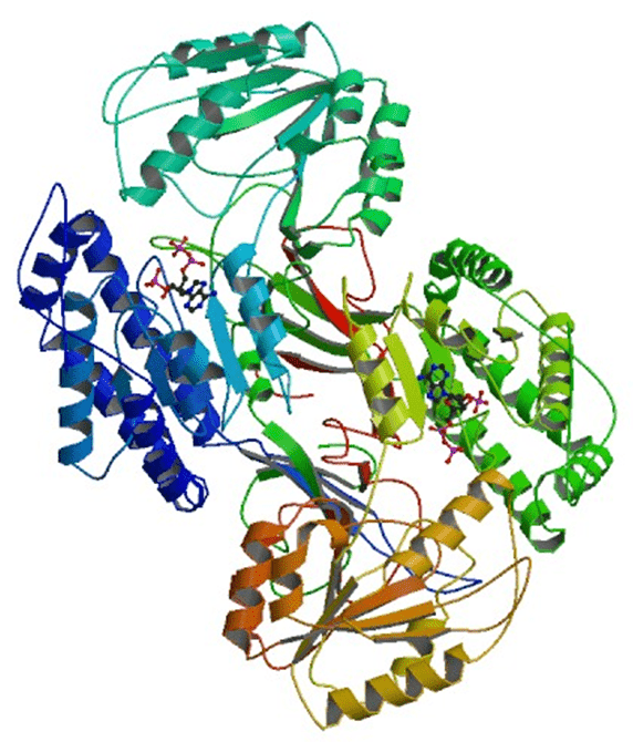 Enzyme Activity Measurement for Aldehyde Dehydrogenase [NAD(P)+]