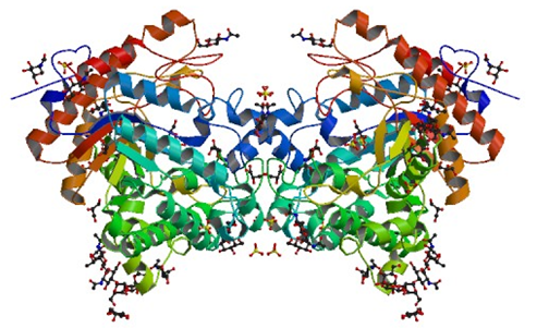 Enzyme Activity Measurement for Thioglucosidase