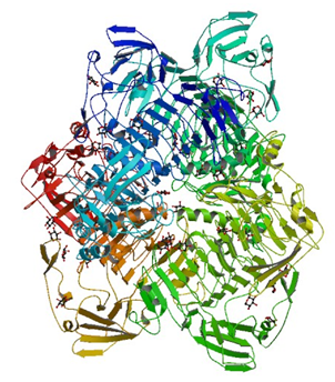 Enzyme Activity Measurement for Xylan 1,4-Beta-Xylosidase 