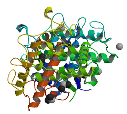 The crystal structure of tyrosinase from Bacillus megaterium