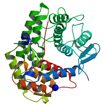 Enzyme Activity Measurement of Oligosaccharide Reducing-End Xylanase